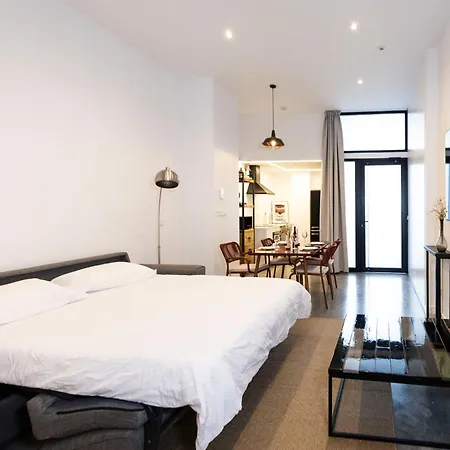 Loftleston Апартаменты